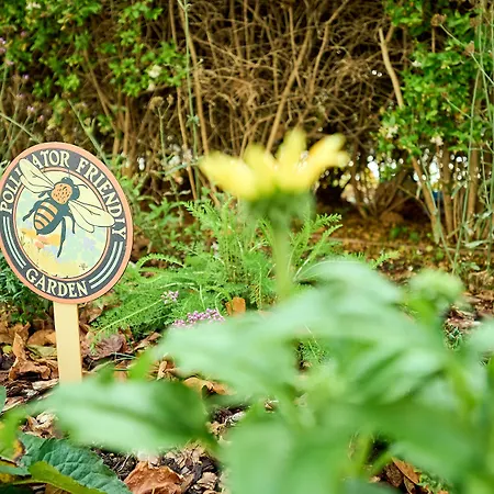 酒店 Travelodge Bcn Cornella Fira 科尔内拉德罗布雷加特